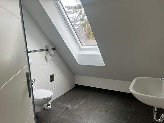 Badezimmer 1 mit Dachfenster.JPG