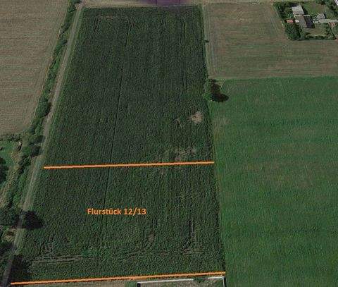 Berumerfehn Bauernhöfe, Landwirtschaft, Berumerfehn Forstwirtschaft