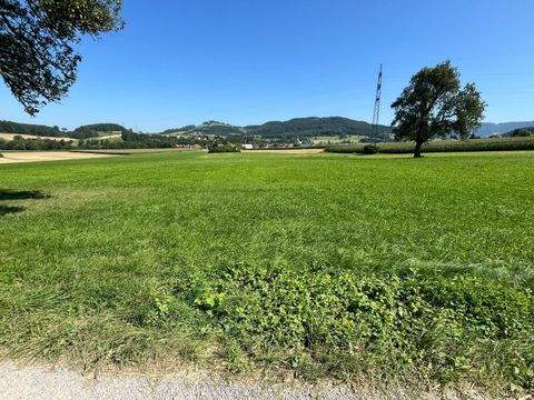 Kirnberg an der Mank Bauernhöfe, Landwirtschaft, Kirnberg an der Mank Forstwirtschaft