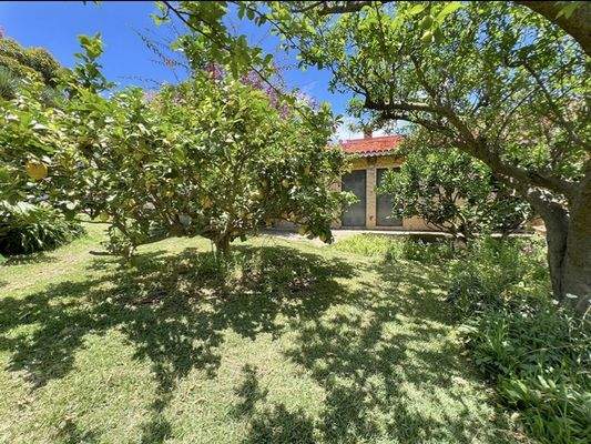 WhatsApp Image 2025-05-01 at 12.21.59.jpeg