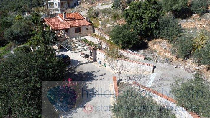 img_a216cb2c-5f8b-4023-b50f-9972c92cffab