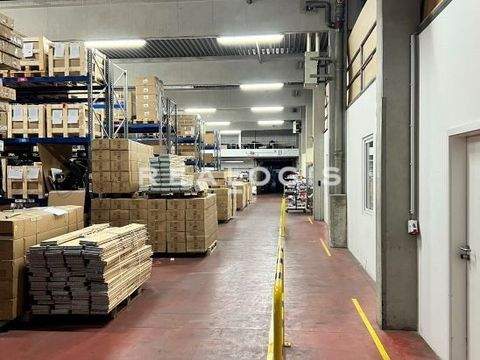 Schäftlarn Halle, Schäftlarn Hallenfläche