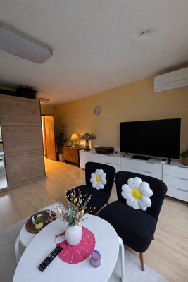 Wohnzimmer Blick zu Flur