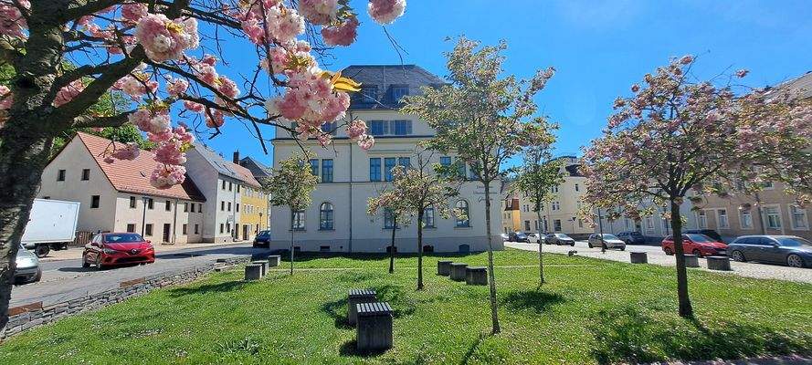 Der kleine Stadtpark mit Uhrenmuseum.jpg