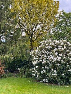 Alles blüht im Sommer