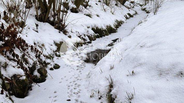 325.Grundstück.Bach