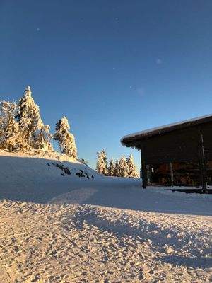 Umgebung im Winter II_2