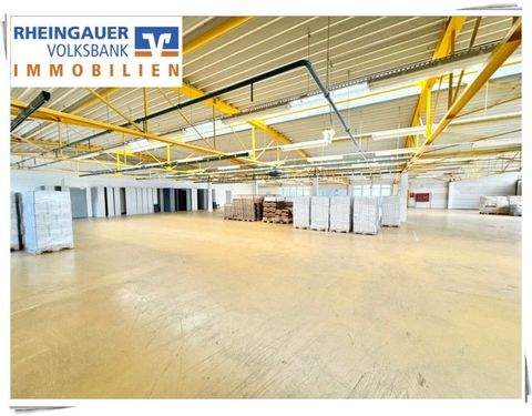 Oestrich-Winkel Halle, Oestrich-Winkel Hallenfläche