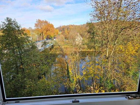 Ausblick vom Wintergarten