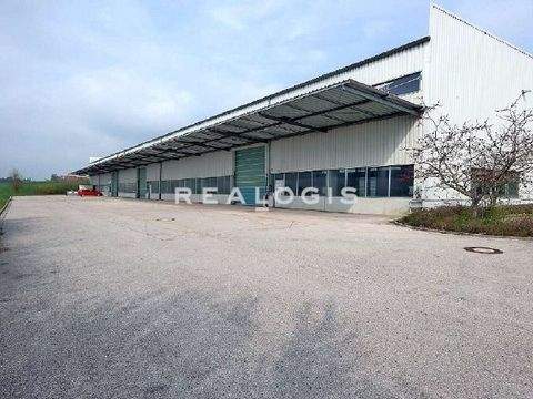 Frankfurt am Main Halle, Frankfurt am Main Hallenfläche