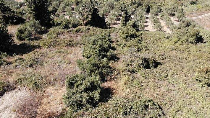 Kreta, Kera: Grundstücke mit Meer- und Bergblick nahe Kalyves zu verkaufen