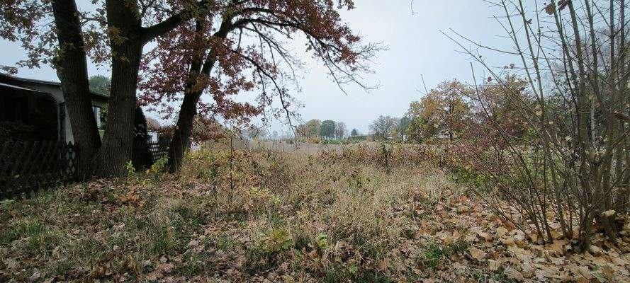 Blick auf das Grundstück