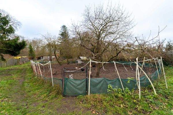 Außenansicht und Garten 