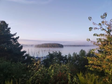 Steinberg am See Wohnungen, Steinberg am See Wohnung kaufen