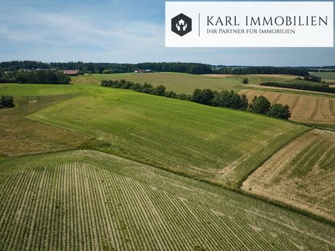 Mengkofen Bauernhöfe, Landwirtschaft, Mengkofen Forstwirtschaft