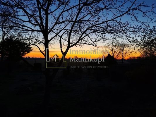 Garten Sonnenuntergang