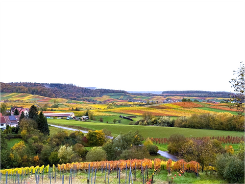 Löwenstein Grundstücke, Löwenstein Grundstück kaufen