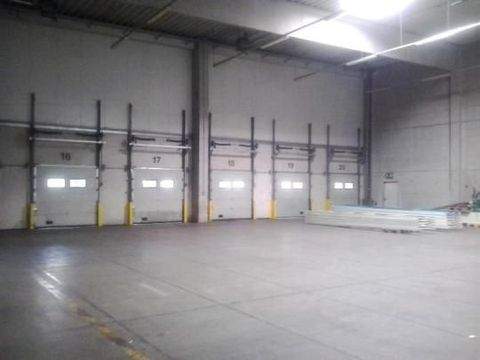 Friedewald Halle, Friedewald Hallenfläche