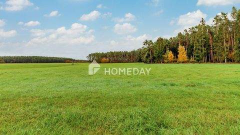Abenberg Häuser, Abenberg Haus kaufen