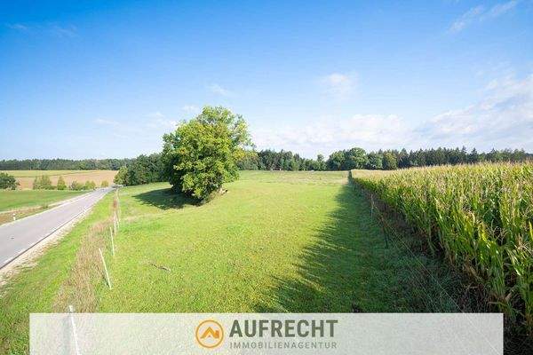 Impression Teilfläche