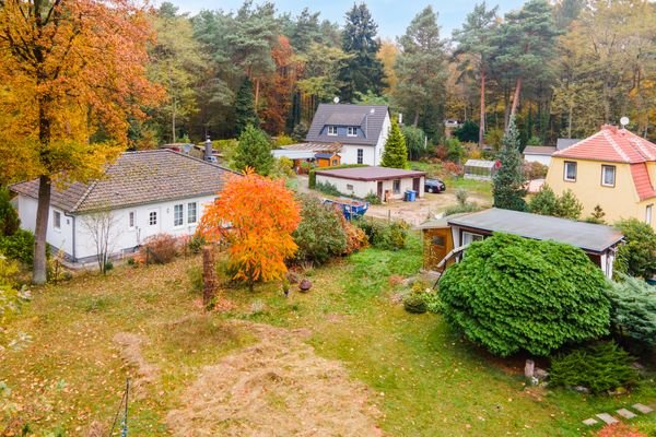 Blick Richtung Wald