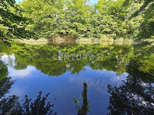 Breite des Weihers ca. 30m 