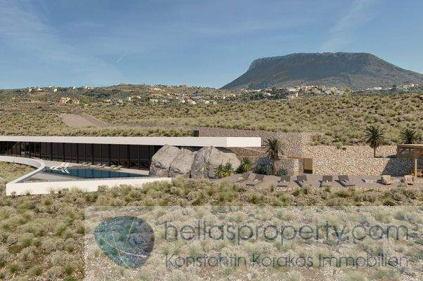 Project New Cave Style luxury Villa (11)