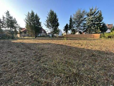 Volkach Grundstücke, Volkach Grundstück kaufen