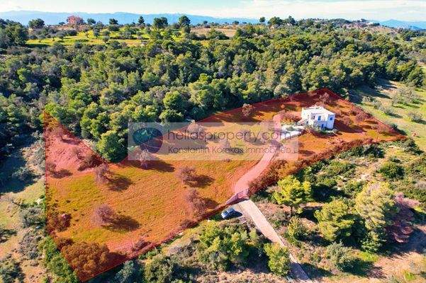 74b4c85b8e8f4f2c903d05198a0f36d5-original