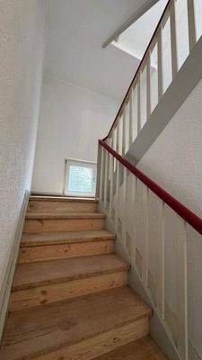 WhatsApp Image 2026-02-19 at 12.58.56 (1).jpeg