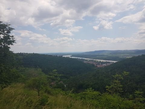 Egelsee Bauernhöfe, Landwirtschaft, Egelsee Forstwirtschaft