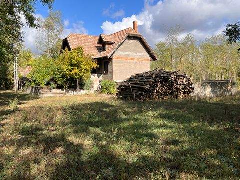 Kaskantyú Bauernhöfe, Landwirtschaft, Kaskantyú Forstwirtschaft