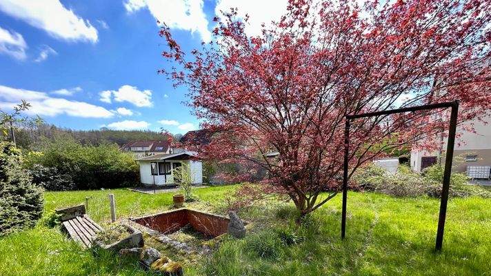 Seitlicher Blick auf das Grundstück