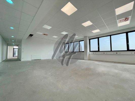 INFOS UNTER: 06171-586000