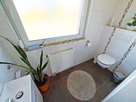 Separates saniertes WC