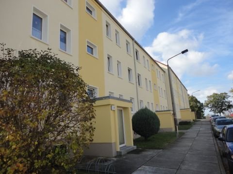 Neukirch/Lausitz Wohnungen, Neukirch/Lausitz Wohnung mieten