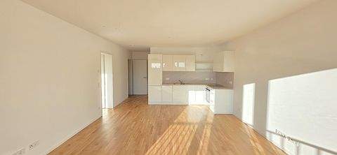 Leipzig Wohnungen, Leipzig Wohnung mieten