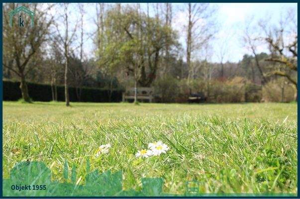 1955 Gartenblick.jpg