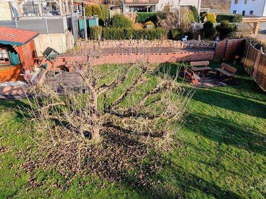 Obergeschoss mit Blick vom Balkon in den Garten