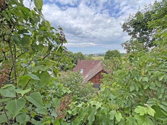 Ausblick vom Garten mit Haus