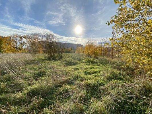 Johannes-R.-Becher-Str., Magdeburg