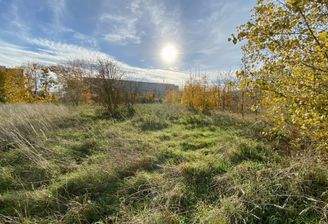 Johannes-R.-Becher-Str., Magdeburg