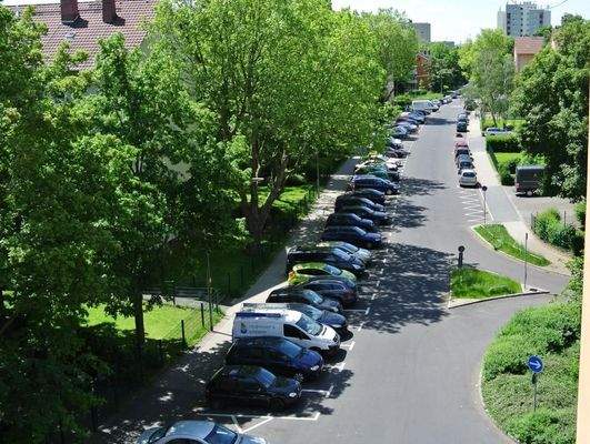 Schwarzerlenweg Strassenverlauf