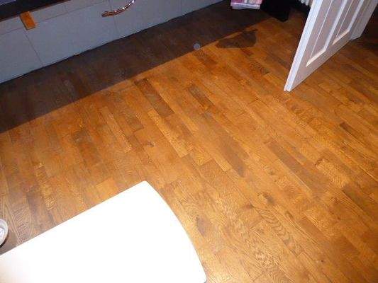 P1030502 - Kopie - Kopie.JPG