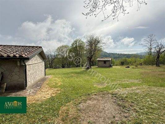 Einfamilienhaus mit 1 Hektar Kastanienwald