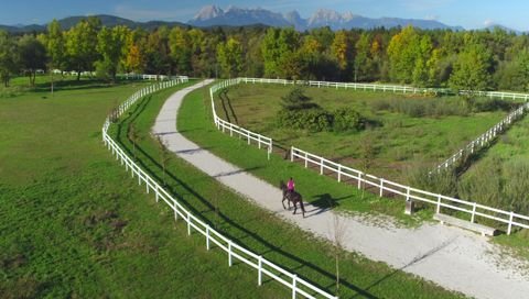 Weilheim in Oberbayern Bauernhöfe, Landwirtschaft, Weilheim in Oberbayern Forstwirtschaft