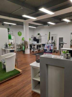 Hauptfläche mit Empfang und Warteecke.jpg