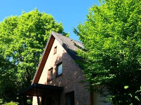 Hameln Häuser, Hameln Haus kaufen