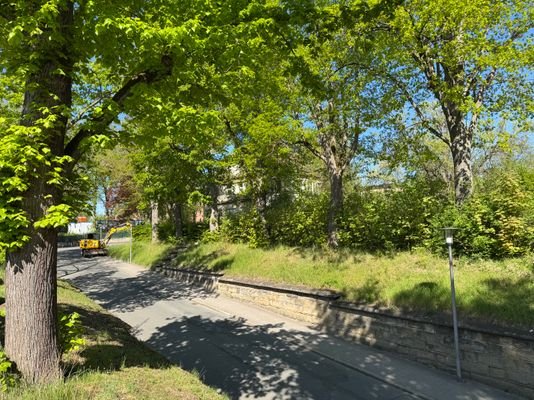 Zufahrtsstraße und Blick auf Grundstück