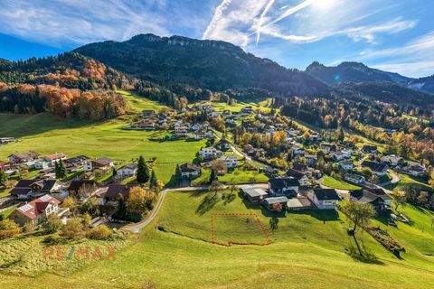 Hohenems Grundstücke, Hohenems Grundstück kaufen